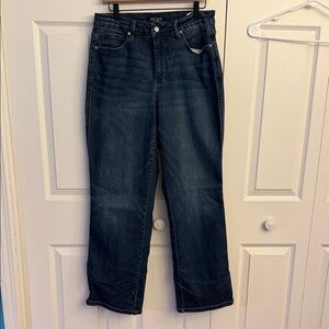 Judy Blue Indigo Straight Leg Jeans